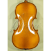 Viola 13” (33,7 cm) Genial 2 (incepator) - Lac Nitro 